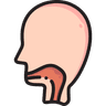 /assets/throat.png